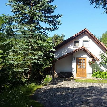 Ferienhaus "Am Schleifenbach" Saalfeld Saale Ngoại thất bức ảnh