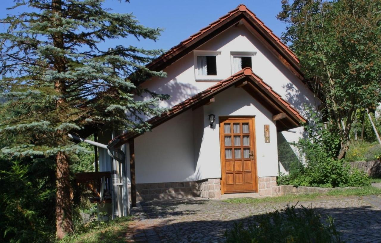 Ferienhaus "Am Schleifenbach" Saalfeld Saale Ngoại thất bức ảnh