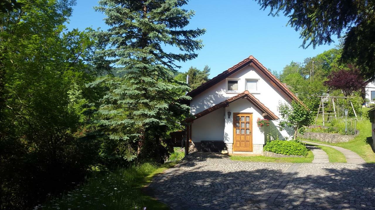 Ferienhaus "Am Schleifenbach" Saalfeld Saale Ngoại thất bức ảnh